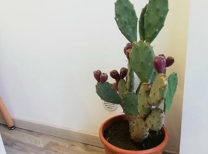 Hotel Casa Riviera *